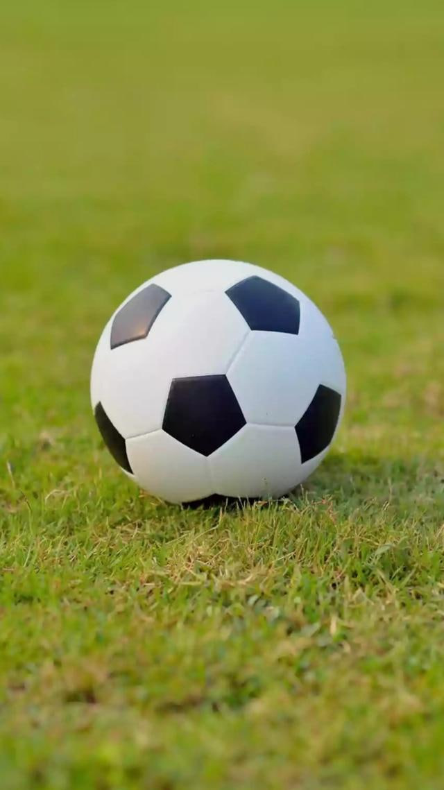 足球预测分析大师app界面展示